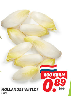  witlof 500 hollandse 