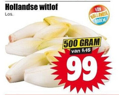  witlof 99 500 hollandse bodem 