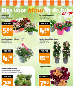  14 19 25 30 80 225 500 750 kleur tuin potmaat cm hoogte ca. terraspot happy mix pot hanging basket mixpot joy dubbele boog verse kruiden tijm rozemarijn bieslook munt boeket 