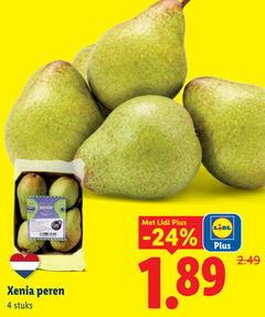  4 xenia peren stuks l dl 