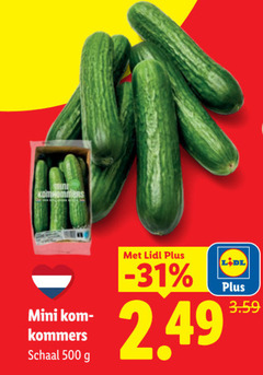  500 mini komkommers schaal 