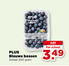  blauwe bessen 300 schaal 