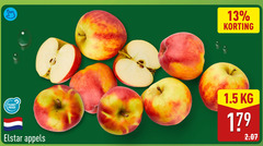  13 to planet proof elstar appels 