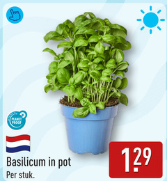 kruidenplanten planet proof basilicum pot stuk 