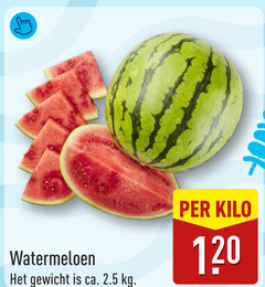  watermeloen 120 gewicht ca. 2.5 kilo 
