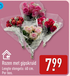  60 rozen gipskruid lengte stengels cm bos 
