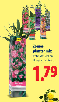  tuinplanten 34 zomer plantenmix potmaat cm hoogte ca. 