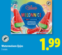  5 335 people nature fruity refreshing watermelon and apple flavour with chocolate pieces watermeloen ijsjes stuks ml ge 