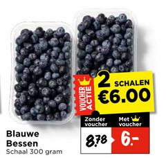  blauwe bessen 2 300 schaal voucher schalen 