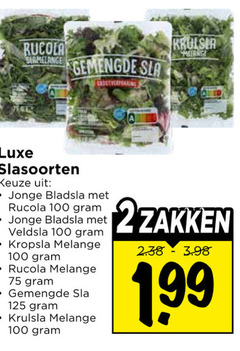  100 rucola gemengde sla luxe slasoorten jonge bladsla veldsla kropsla melange krulsla 