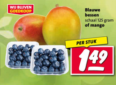  mango blauwe bessen schaal stuk 