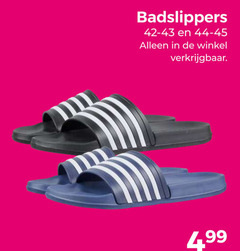  badslippers 