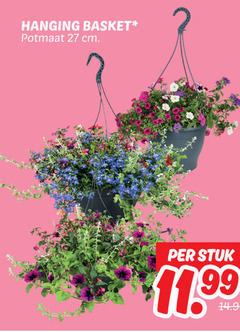  27 hanging basket potmaat cm stuk 