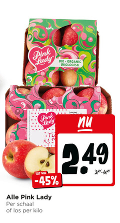  pink lady bio organic schaal kilo appel cones 