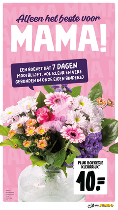  boeket 4 7 10 malle mama dagen kleur vers gebonden maandag boeketje kleurrijk jumbo 