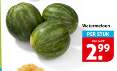  watermeloen stuk 3.99 