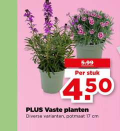  tuinplanten 17 450 5.99 stuk vaste planten potmaat cm 