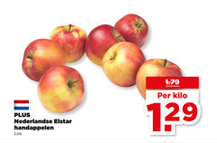  nederlandse elstar handappelen kilo 