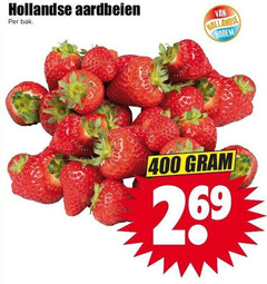  aardbeien 400 hollandse bak bodem 