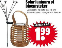  12 solar lantaarn hoogte ca. cm elders 3.99 