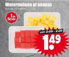  ananas watermeloen 250 schaal 