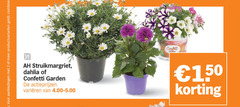 klik op dit plaatje voor een vergroting en voor vergelijkbare aanbiedingen gerelateerd aan
margrieten 2 150 productvarianten combineren struikmargriet dahlia confetti garden varieeren condensdroger margrieten 2 150 productvarianten combineren struikmargriet dahlia confetti garden varieeren condensdroger