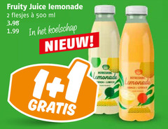  vruchtensap 1 2 500 fruity juice lemonade ml koelschap 