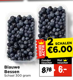  blauwe bessen 2 300 voucher schalen schaal 