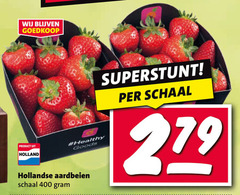  aardbeien 279 400 schaal holland healthy goods hollandse 