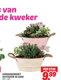  kweker arrangement outdoor zink stuk 9 99 