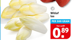  witlof 500 