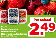  frambozen aardbeien blauwe bessen nederlandse schaal 