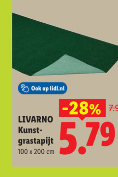  100 200 lidl.nl livarno kunst grastapijt cm 