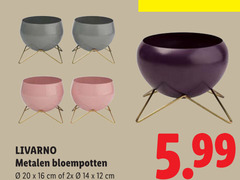 12 14 16 20 livarno metalen bloempotten cm 2x 5.99 