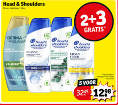  1 2 3 5 100 250 head shoulders shampoo liter by anti roos expert 3x protect shampooing antipelliculaire classic monde merk wereld gerelateerd citrus fresh purifiant le gras zuivert vette hoofdhuid kalmeert cera droge jeukende clinically proven aloe vera des roosvrij ml 