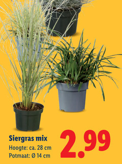 14 28 siergras mix hoogte   ca. cm potmaat 2.99 