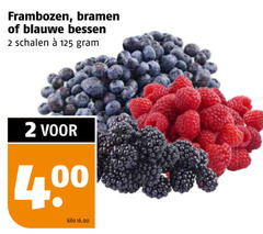  blauwe bessen bramen frambozen 2 schalen kilo 