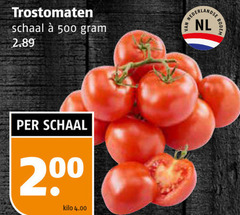  trostomaten 200 500 nl bodem schaal kilo 
