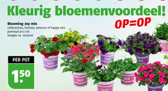  12 15 150 blooming joy mix calibrachoa fuchsia petunia happy potmaat cm hoogte ca. 20cm pot carbon 