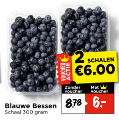  blauwe bessen 2 300 voucher schalen schaal 