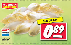  witlof 500 holland 