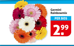  germini bos 2 99 