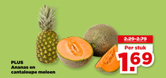  meloen ananas cantaloupe stuk 1 69 