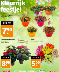  tuinhortensia rozen 7 10 14 25 40 50 500 750 kleurrijk feestje hangplant potmaat cm hoogte ca. pot lips kamer hortensia kop periode buiten bos stelen regionale supermarkt supermarkten 