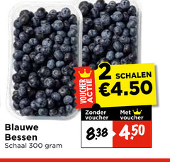 klik op dit plaatje voor een vergroting en voor vergelijkbare aanbiedingen gerelateerd aan
blauwe bessen 2 300 schaal voucher schalen blauwe bessen 2 300 schaal voucher schalen