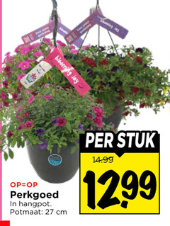  27 jay les blooming perkgoed hangpot potmaat cm stuk 