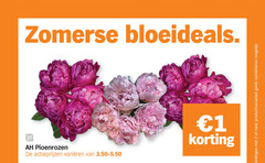  rozen 1 2 zomerse pioenrozen varieeren productvarianten combineren 