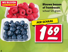  frambozen blauwe bessen 00 schaal 