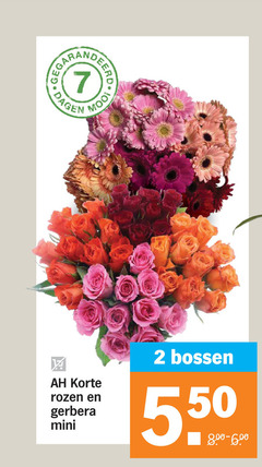 klik op dit plaatje voor een vergroting en voor vergelijkbare aanbiedingen gerelateerd aan
2 7 dagen korte rozen gerbera mini bossen 2 7 dagen korte rozen gerbera mini bossen