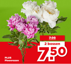 klik op dit plaatje voor een vergroting en voor vergelijkbare aanbiedingen gerelateerd aan
2 750 pioenrozen bossen 2 750 pioenrozen bossen